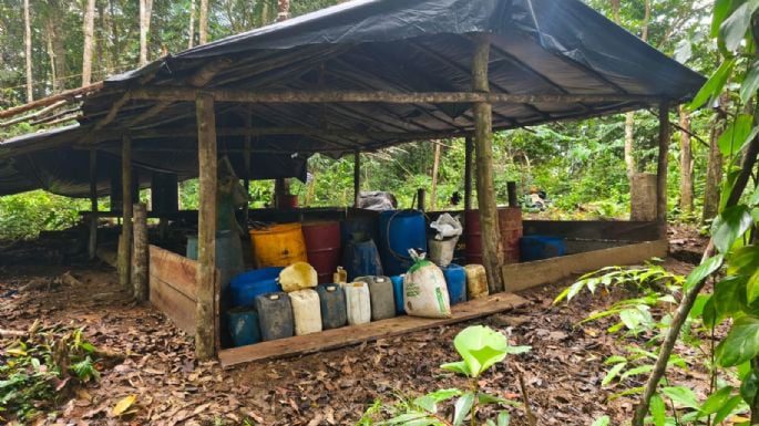 Ataques a narcolaboratorios dejan 30 muertos en Colombia; alertan por incursiones con sello de Trump