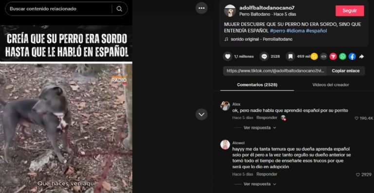 Pensaron que un perrito era sordo por no entender el inglés, pero en realidad sus exdueños hablaban español