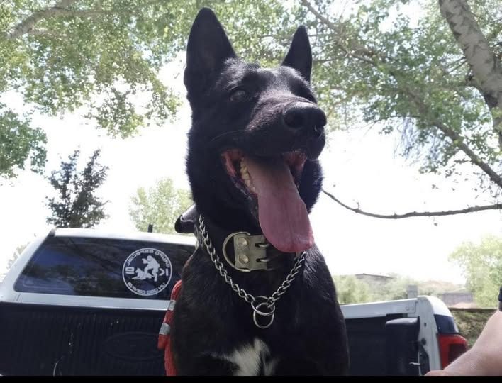 Exigen castigar asesinato de “Vico” como un agente de policía