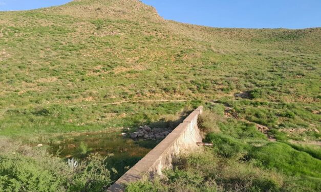 Exige SLC consultar para proteger Sierra del Mogote